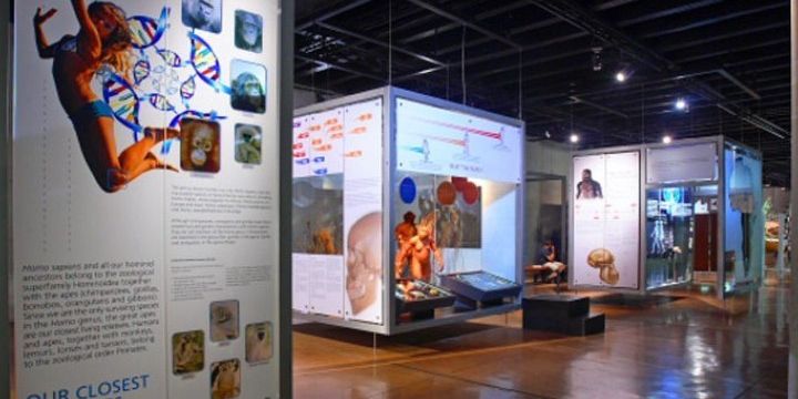 Exhibit