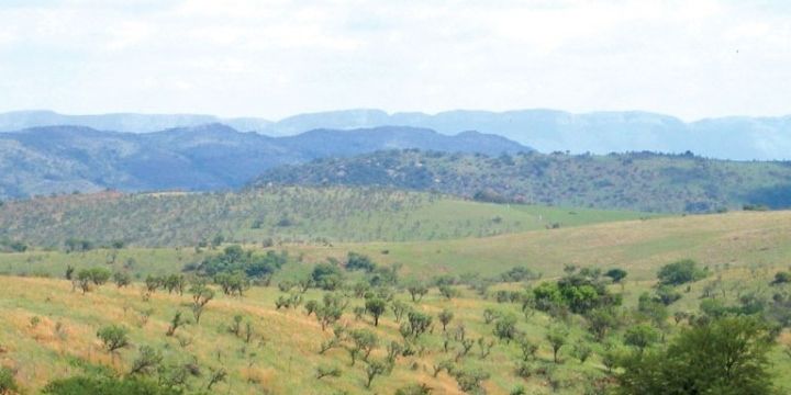 View Over The Mountains From Maropeng