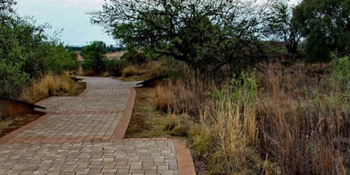 Maropeng   Sterkfontein Caves 036