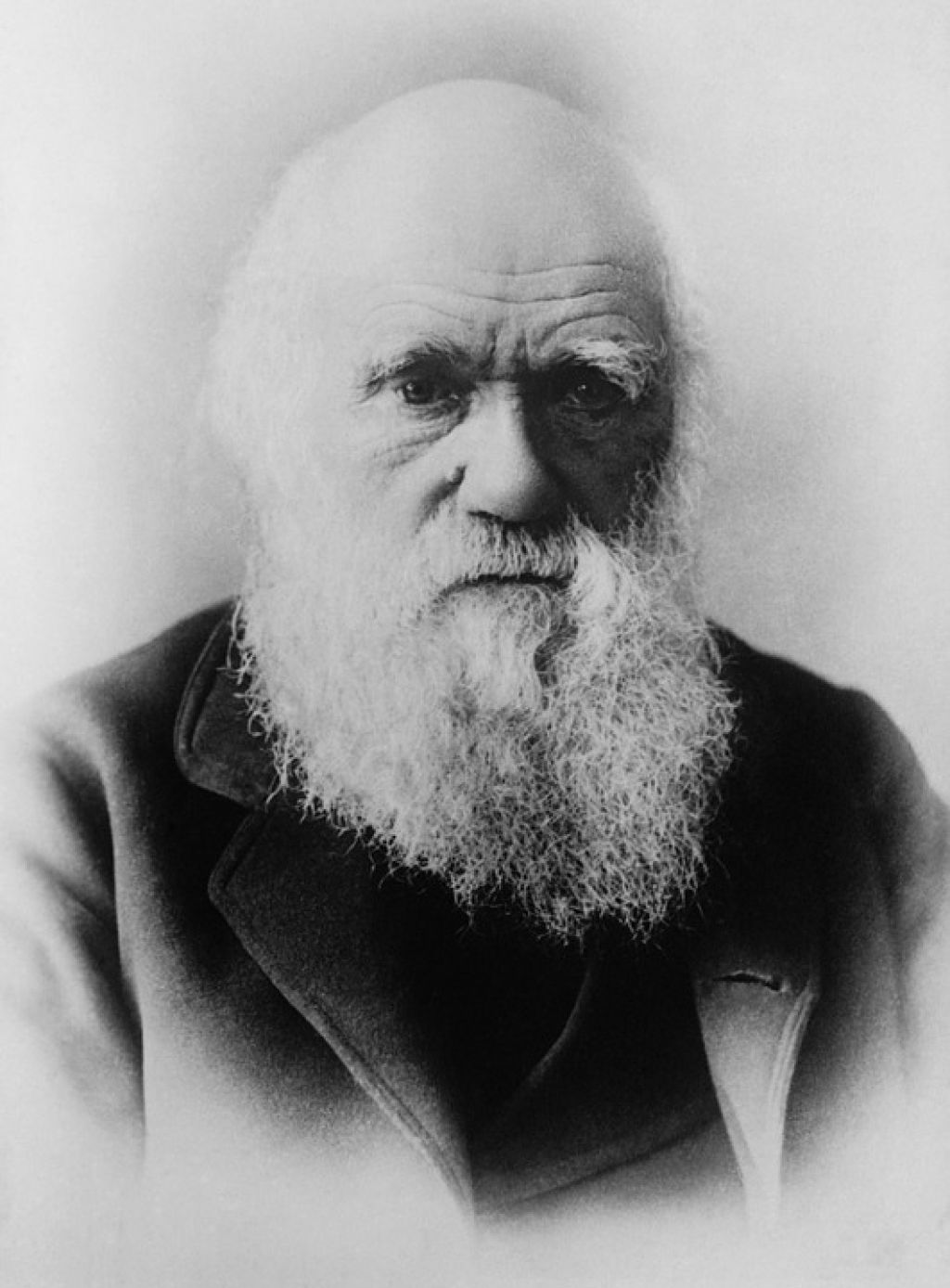 Charles Darwin 62967 960 720