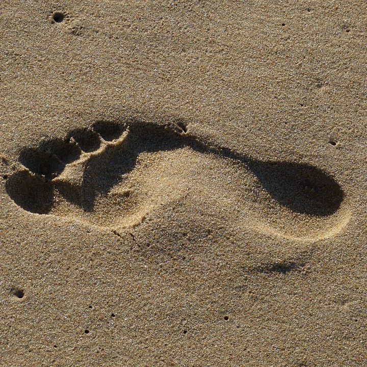 Footprint