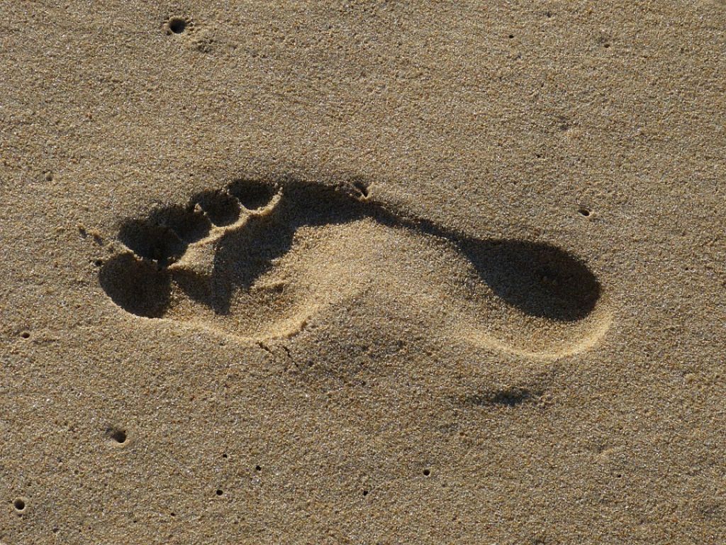 Footprint