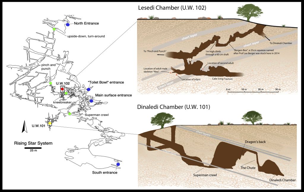 8 Lesedi And Dinaledi Map