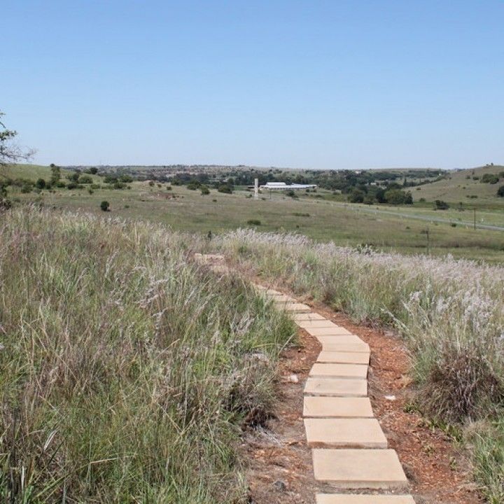 Indigenous Vegetation