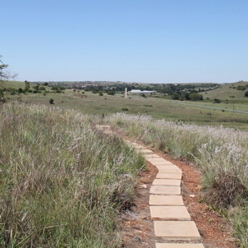 Indigenous Vegetation