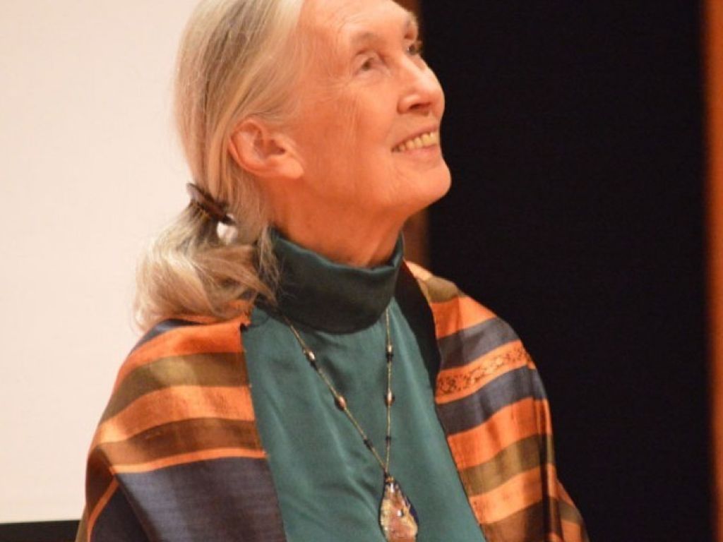 Janegoodall