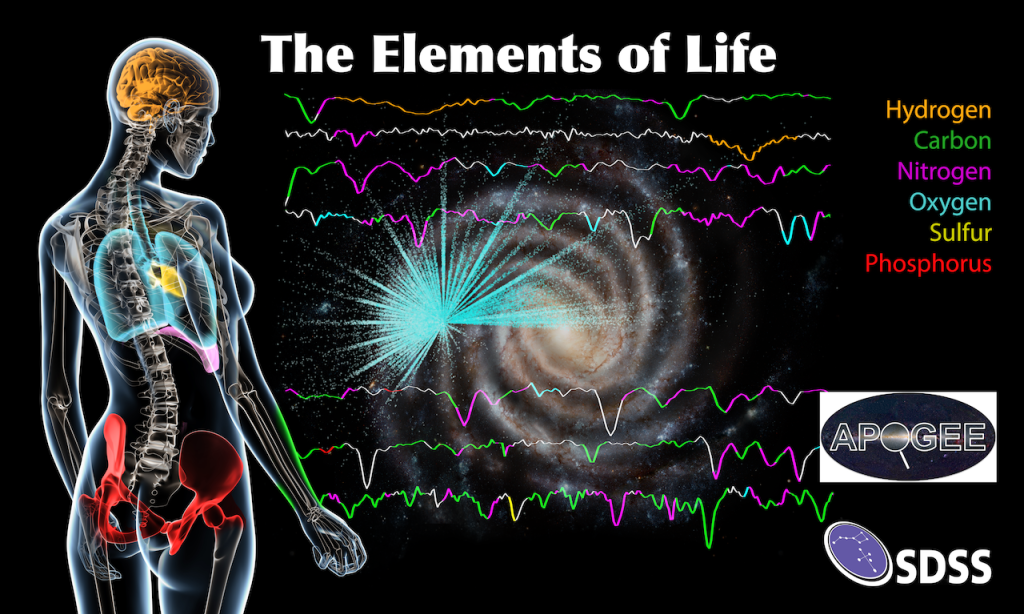 Elementsinspace V6 Dec30 10Kb